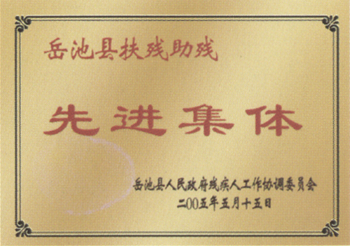 岳池县扶残助残先进集体